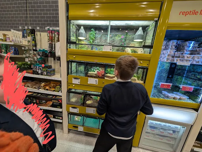 Pets at Home Carlisle Picture 8