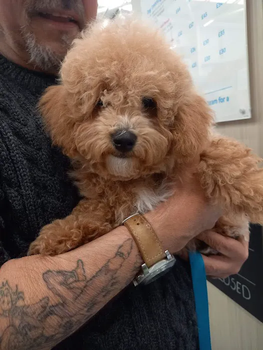 Pets at Home Carlisle Picture 7