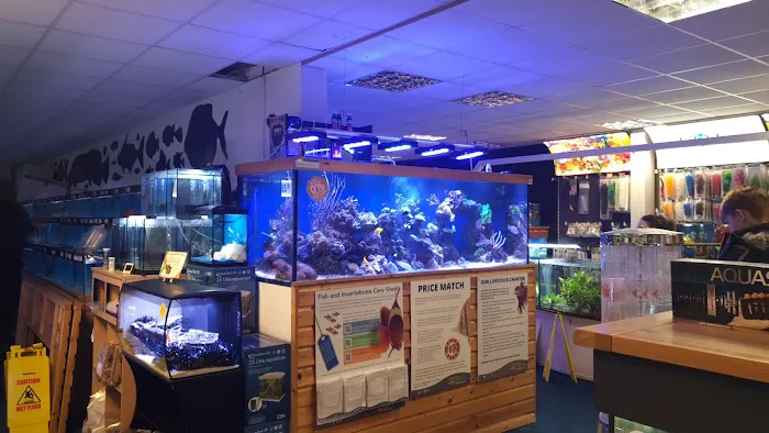 Maidenhead Aquatics Carlisle Picture 1