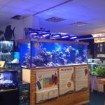 Maidenhead Aquatics Carlisle