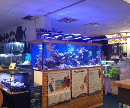 Maidenhead Aquatics Carlisle