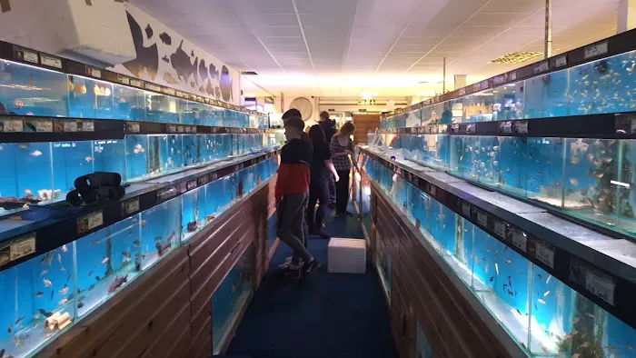 Maidenhead Aquatics Carlisle Picture 4