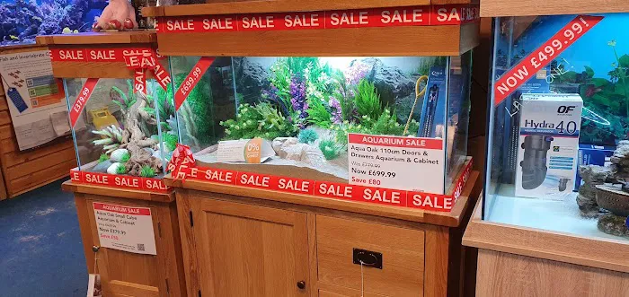 Maidenhead Aquatics Carlisle Picture 3