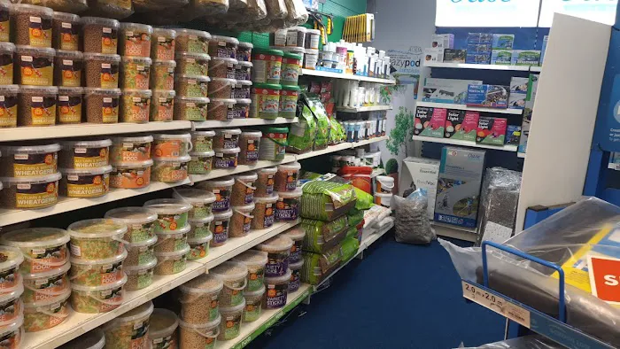 Maidenhead Aquatics Carlisle Picture 8