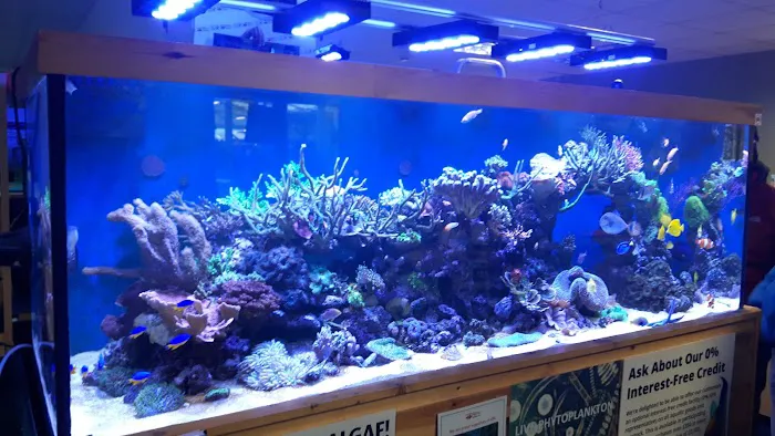 Maidenhead Aquatics Carlisle Picture 7