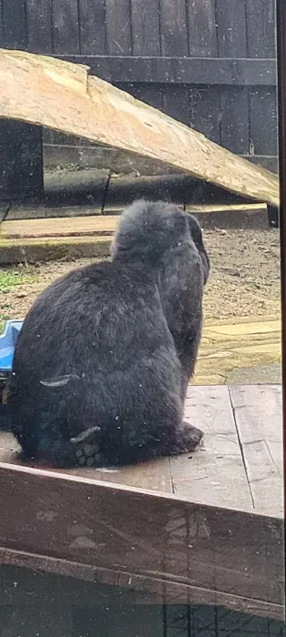 Tracey's Bunny Haven Picture 1