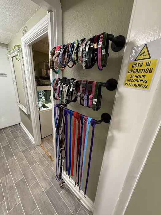 Twisted Willow Pets Picture 2