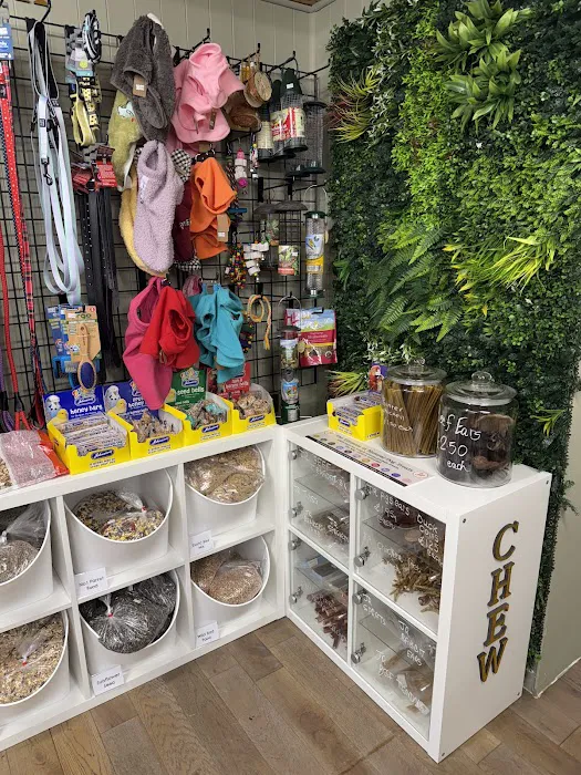 Twisted Willow Pets Picture 4