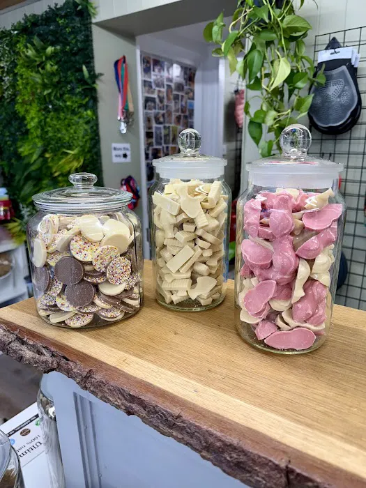 Twisted Willow Pets Picture 8