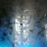 UK Jellyfish