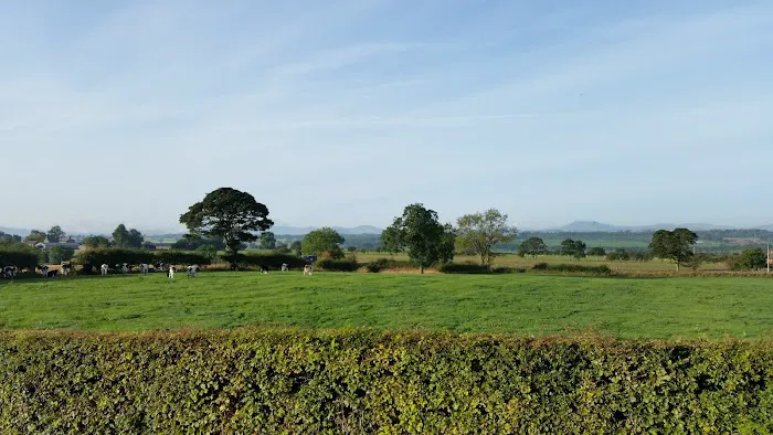 Calico Aquatics Picture 10