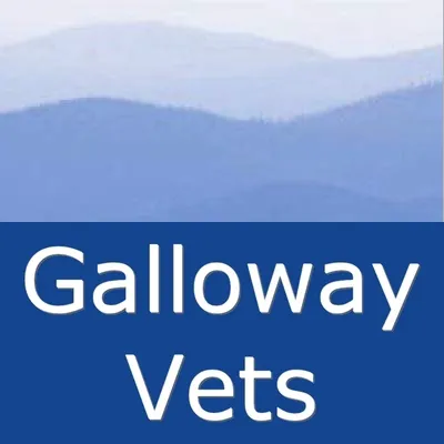 Galloways Vets LTD Picture 4
