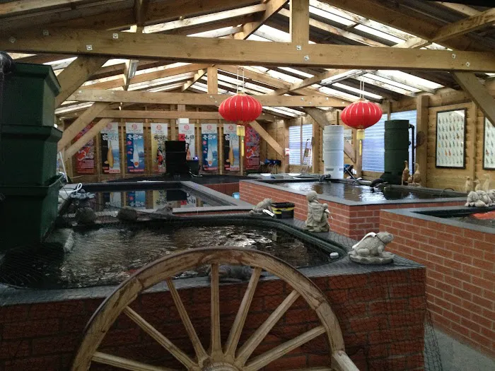 BLACKBURN HOUSE KOI Picture 1