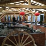 BLACKBURN HOUSE KOI
