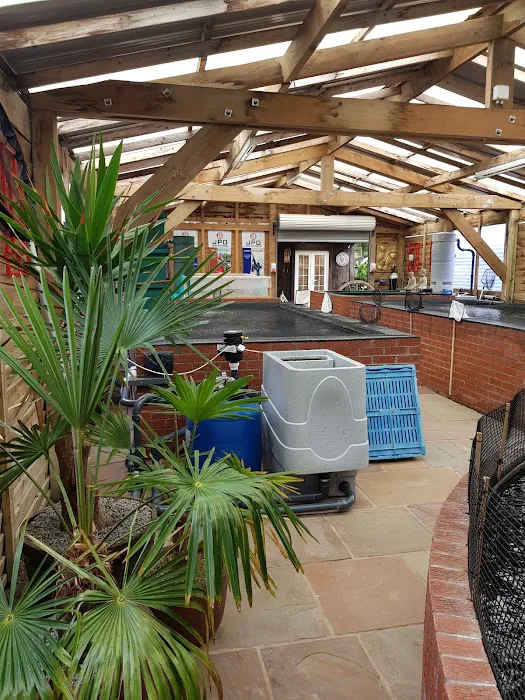 BLACKBURN HOUSE KOI Picture 7