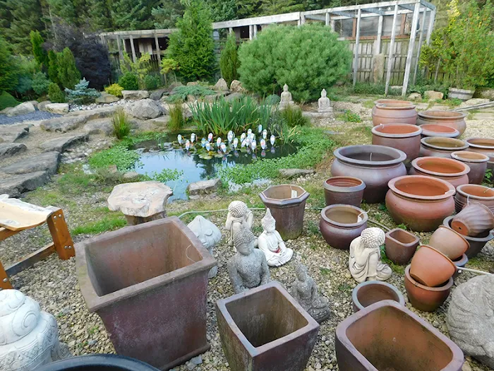 BLACKBURN HOUSE KOI Picture 5