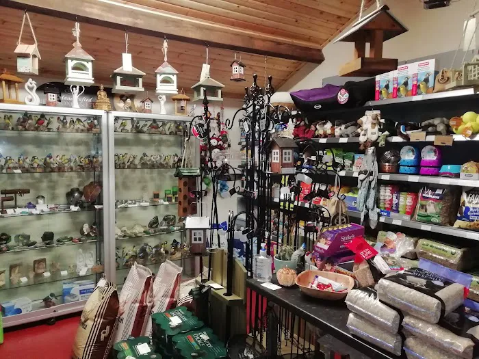 BLACKBURN HOUSE KOI Picture 6