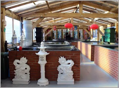 BLACKBURN HOUSE KOI Picture 10