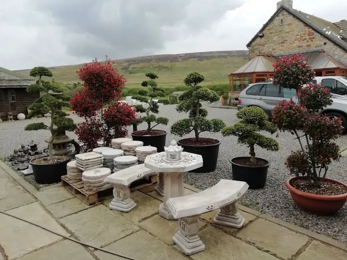 BLACKBURN HOUSE KOI Picture 8