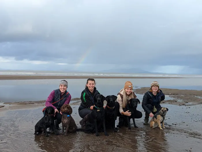 Millcroft Vets Maryport Picture 6