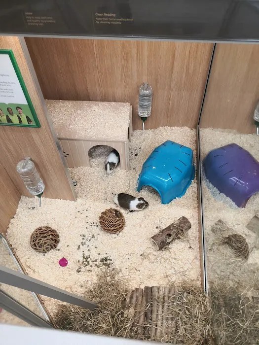 Pets at Home Penrith Picture 1