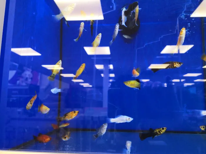 Pets at Home Penrith Picture 5