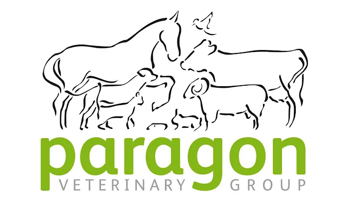 Paragon Veterinary Group Picture 9