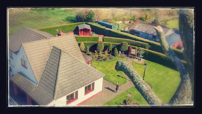 Cedar Tree Cattery Picture 1