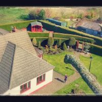 Cedar Tree Cattery ico