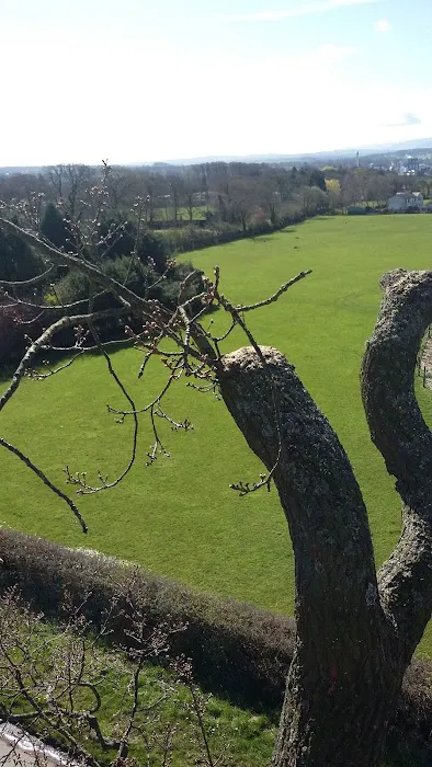 Cedar Tree Cattery Picture 5