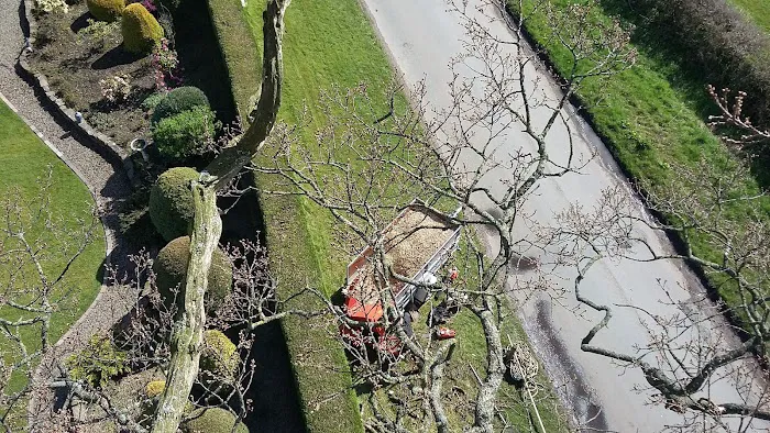 Cedar Tree Cattery Picture 7