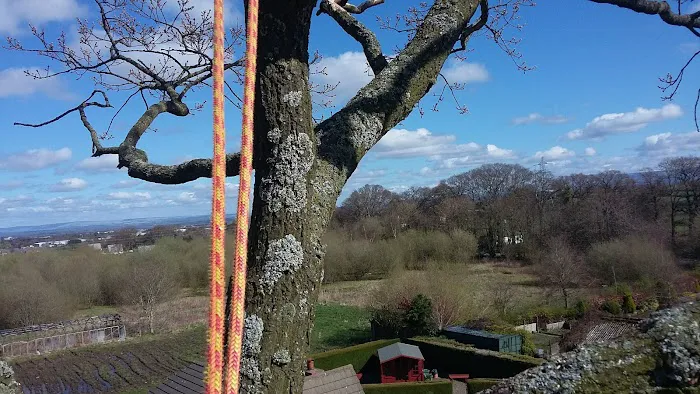 Cedar Tree Cattery Picture 6