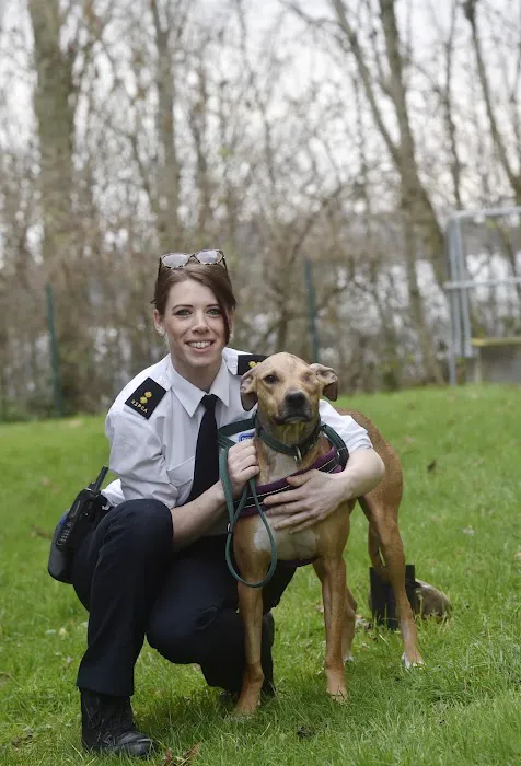 Ashlea Veterinary Centre Picture 6