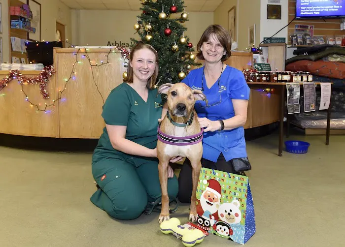 Ashlea Veterinary Centre Picture 9