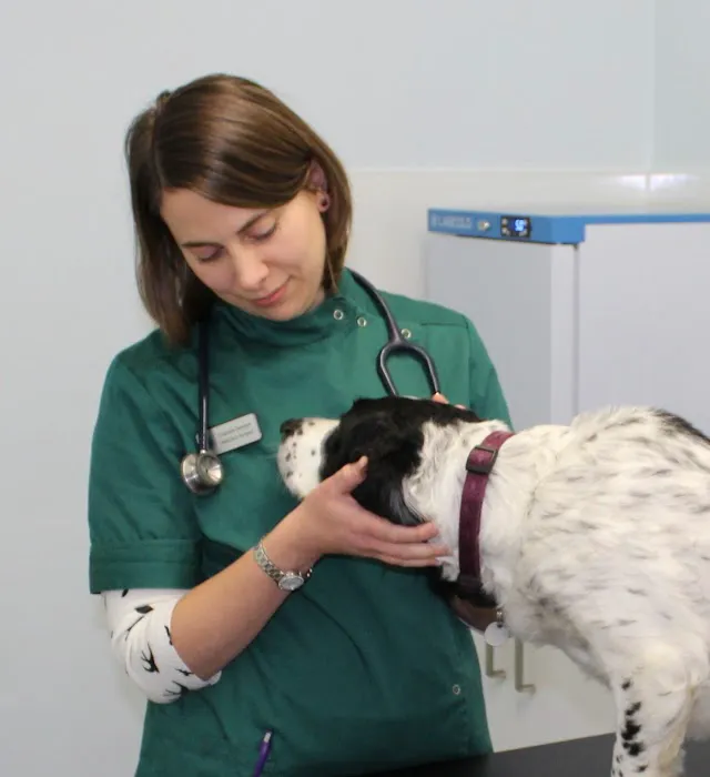 Coomara Veterinary Practice Picture 6