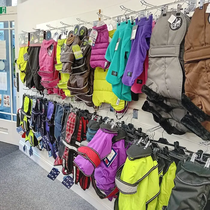 Waggy Woofers Picture 3