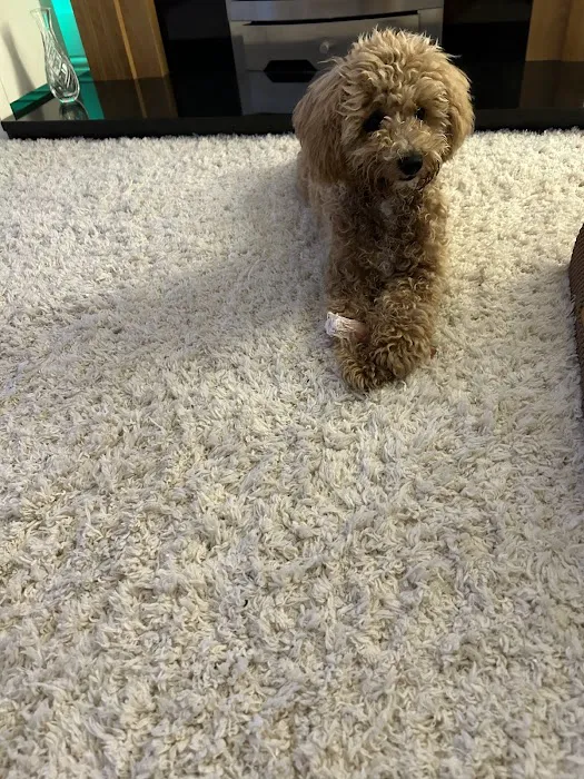 RTSN Huddart Supplies Picture 6