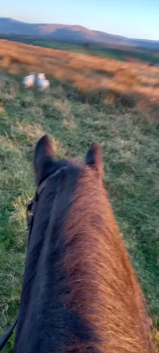 WCF Pet & Equestrian (Cockermouth) Picture 3