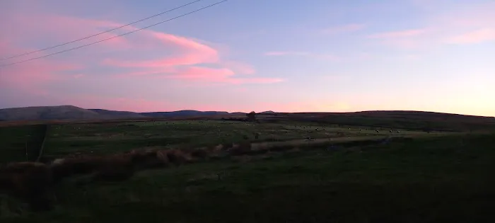 WCF Pet & Equestrian (Cockermouth) Picture 2