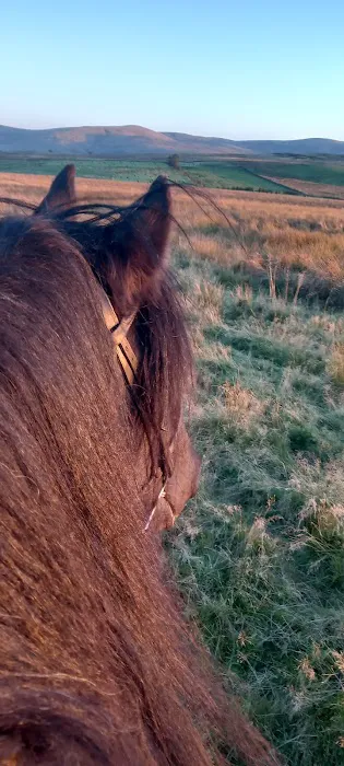 WCF Pet & Equestrian (Cockermouth) Picture 4