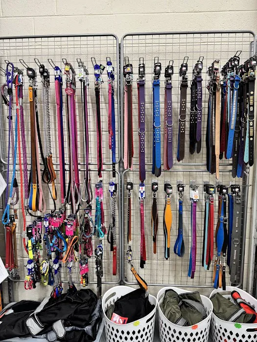 Paws and Claws Pet Supplies Picture 8