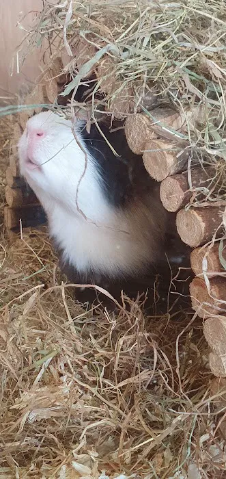 Pets at Home Workington Picture 10