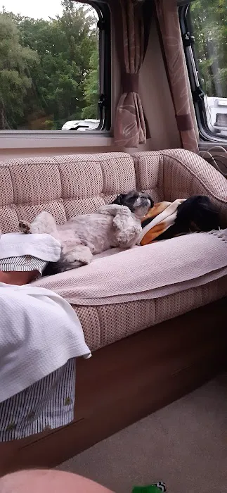 Pets at Home Workington Picture 3