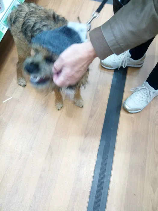 Pets at Home Hexham Picture 4