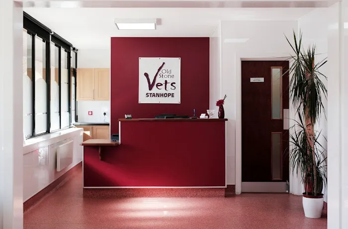 Old Stone Vets Picture 3