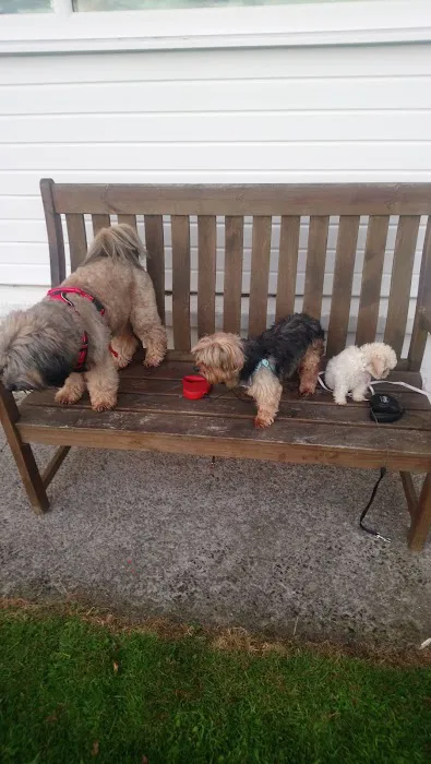 Capontree Veterinary Centre Picture 5