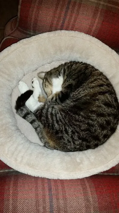 Capontree Veterinary Centre Picture 8