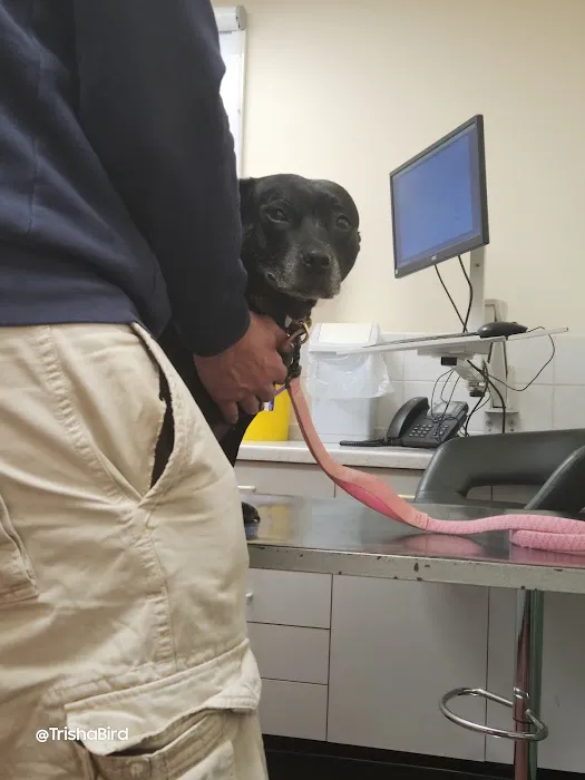 Capontree Veterinary Centre Picture 9