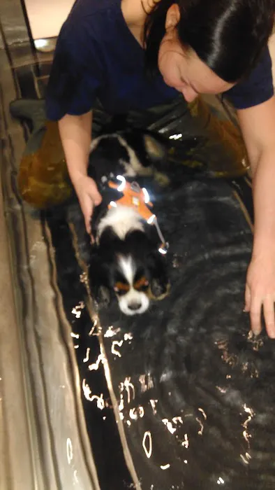 Northwest K9 Hydrotherapy Picture 2