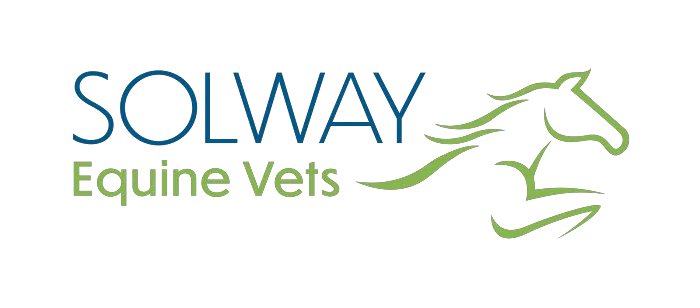 Solway Equine Vets Picture 1